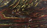Polished Tiger Iron Stromatolite - ( Billion Years) #92956-1